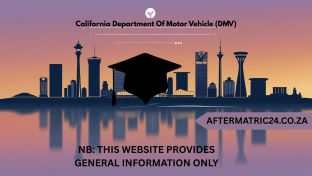 California Department Of Motor Vehicle (DMV)