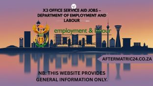 X3 OFFICE SERVICE AID JOBS – DEPARTMENT OF EMPLOYMENT AND LABOUR