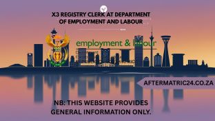 X3 REGISTRY CLERK AT DEPARTMENT OF EMPLOYMENT AND LABOUR